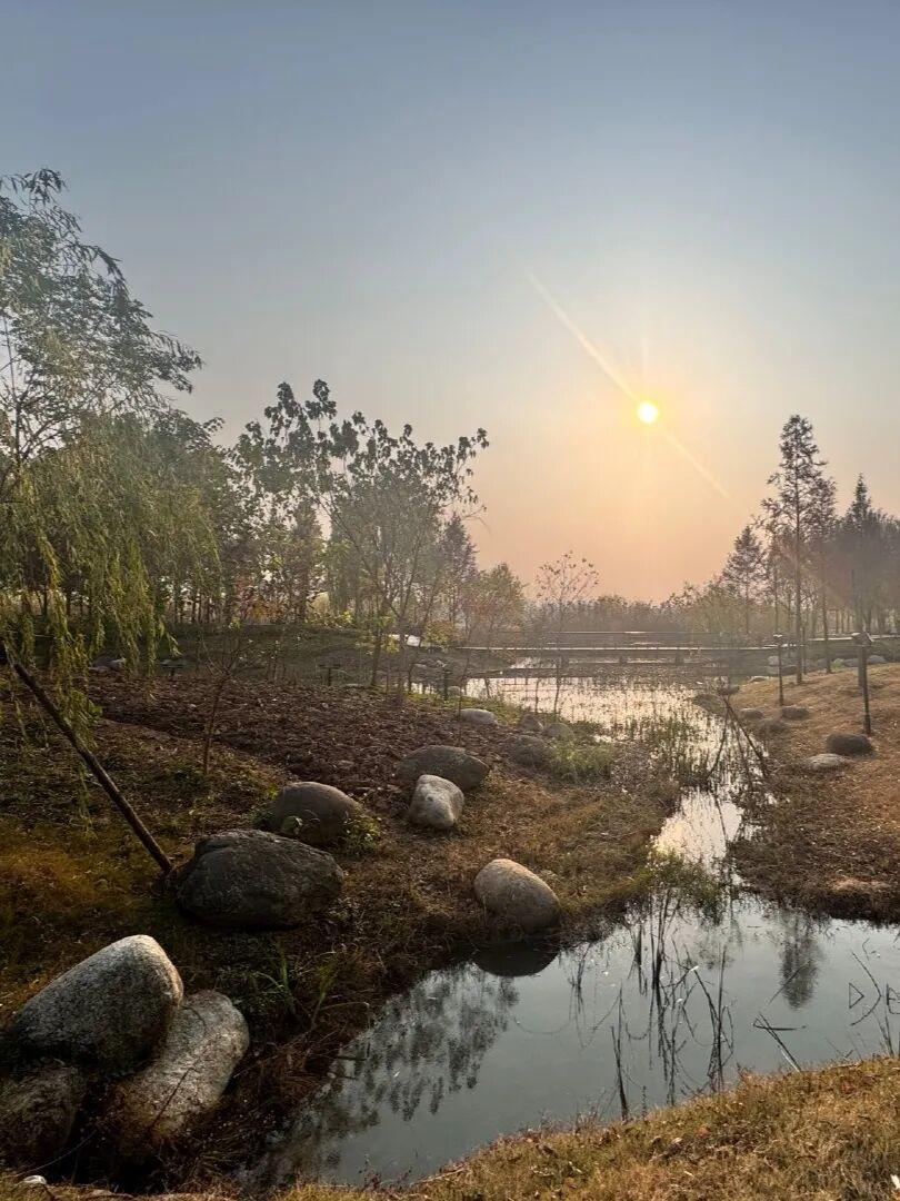 发现一个奇怪现象：那些上几代贫寒、父母老实木讷，遭亲友轻视、被外人嘲讽的家庭，没