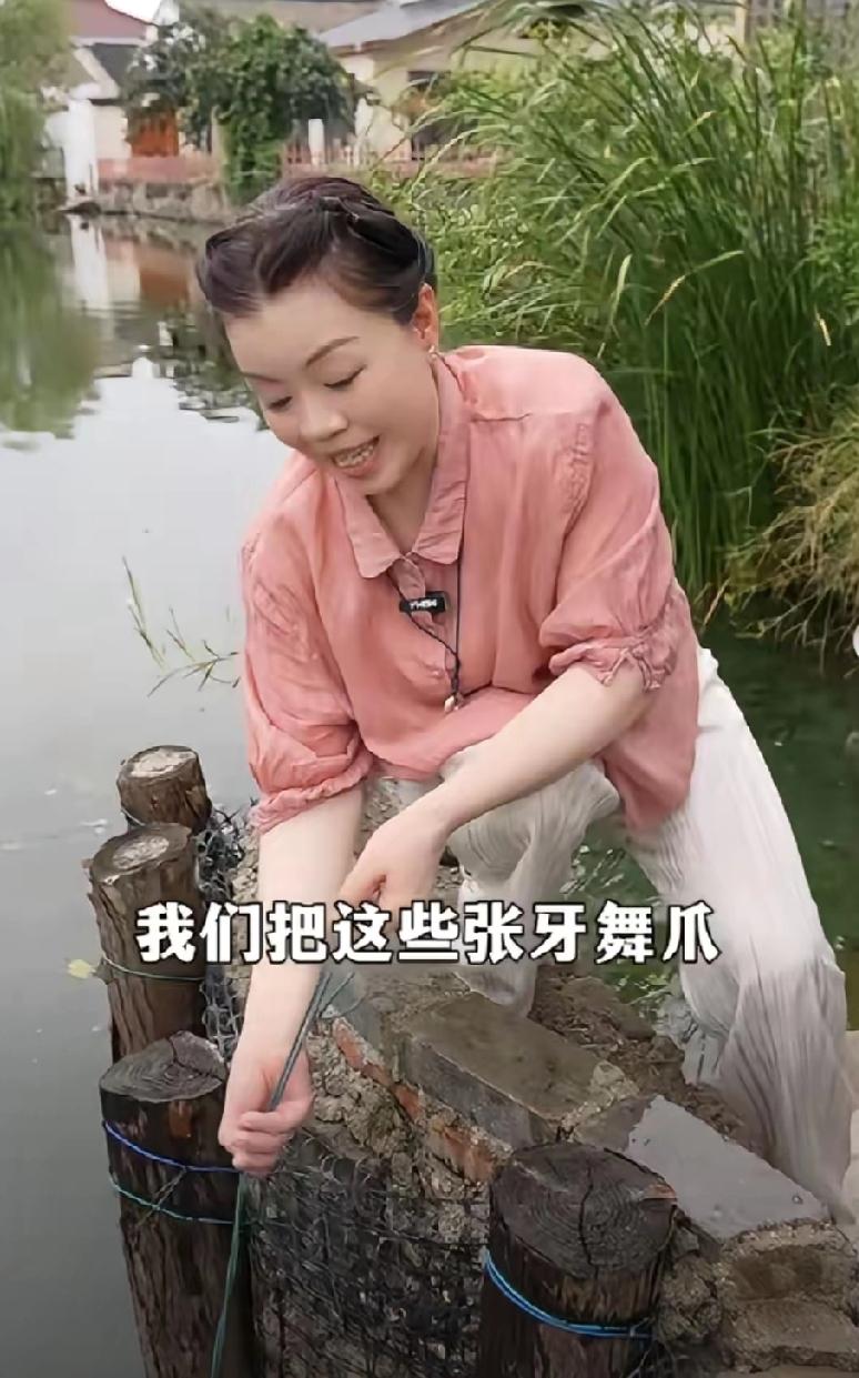 网上有不少博主在讨论二宽提交的91户，传言这个户口的男女户主是二宽和许敏。