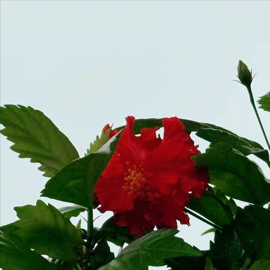 70后的经济学女博士常红军履新 4月2日，该同志履新。 该同志今年56岁