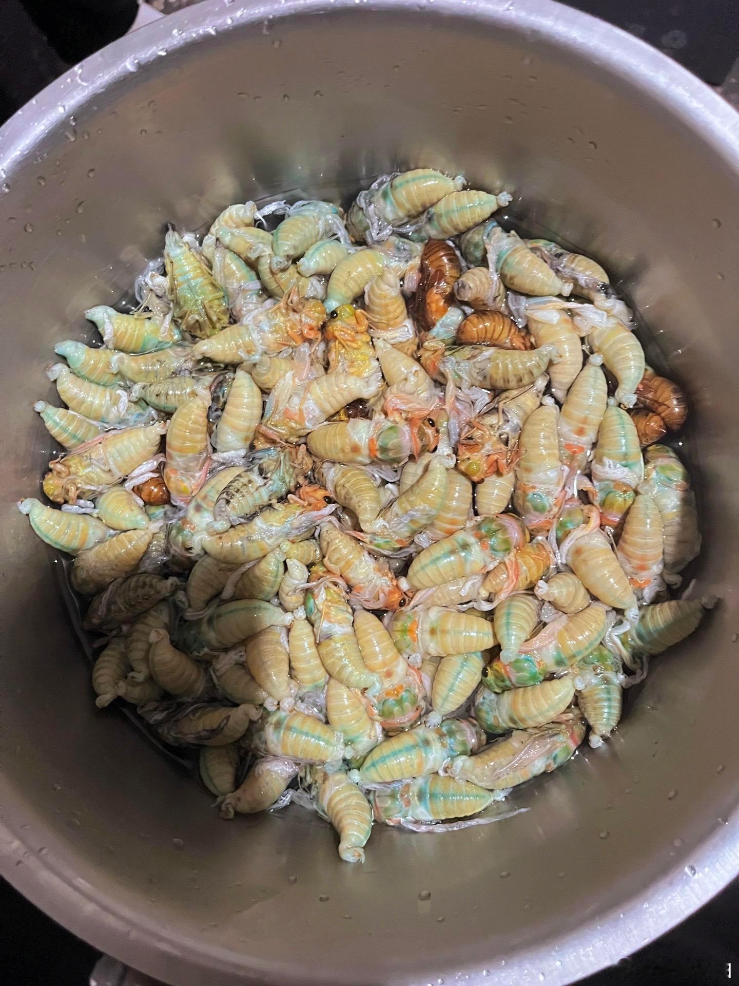 有没有人还认识这个，小时候的味道
