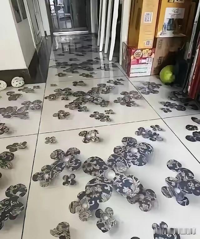 夫妻把装修交给父母操办，结果地砖被装成这样了[捂脸哭]