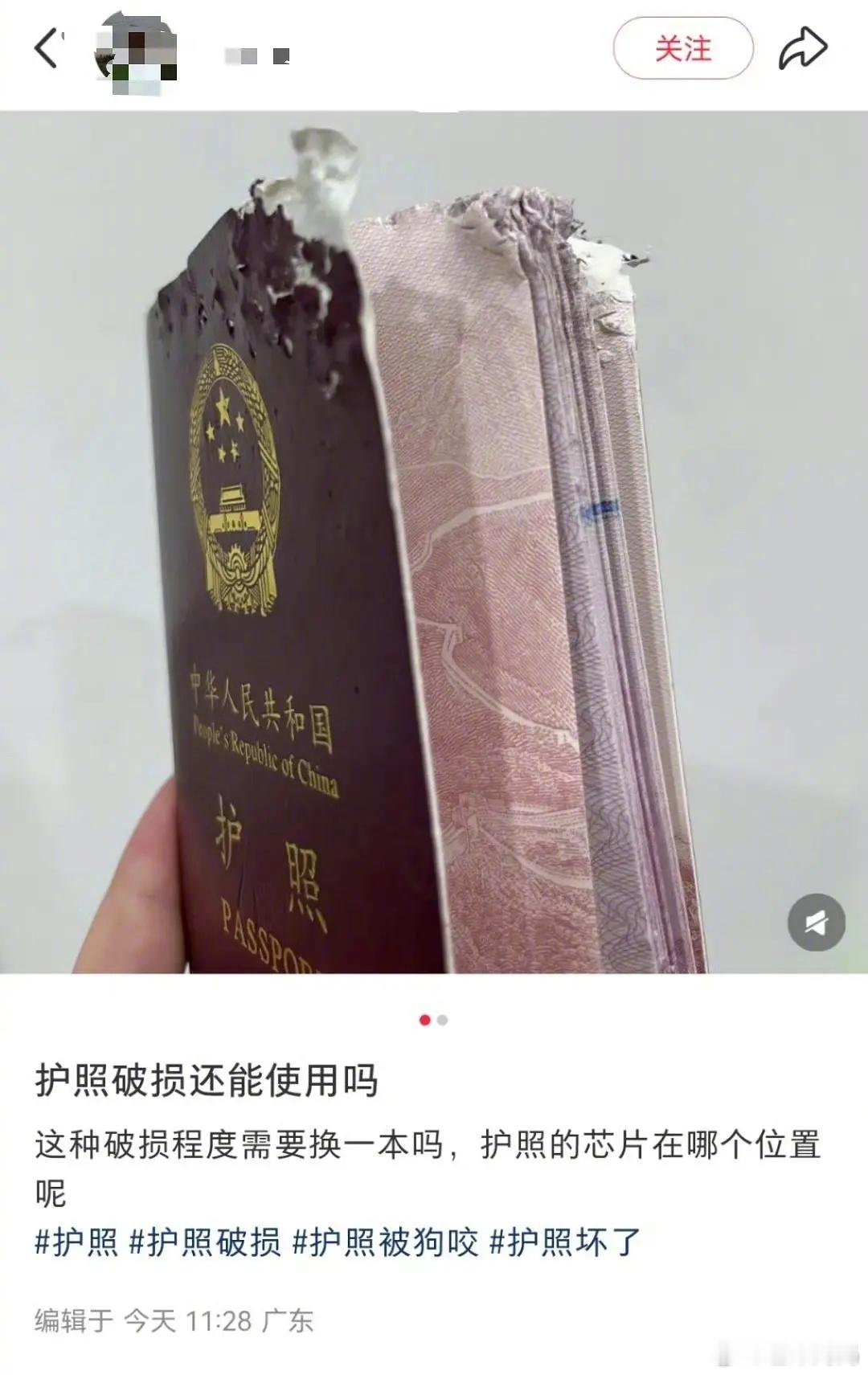 什么时候看到护照三字经能不笑[捂脸哭]​​​