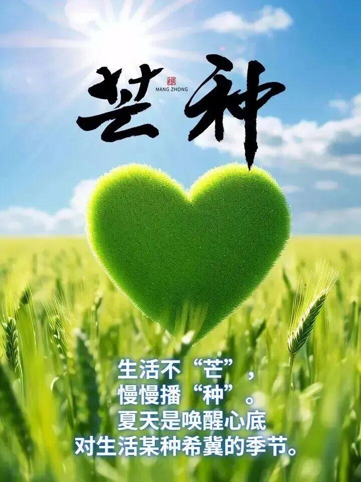 芒种芒种，忙种忙收。种上快乐，收获笑声；种上吉祥，收获幸福；种上如意，收获财富；