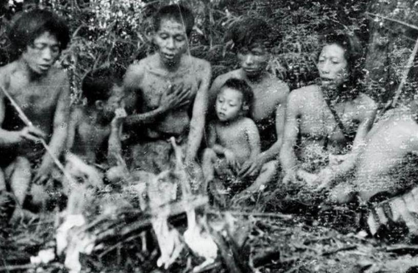 1956年，解放军在云南原始森林深处，发现一群衣不蔽体，蓬头垢面的男男女女。