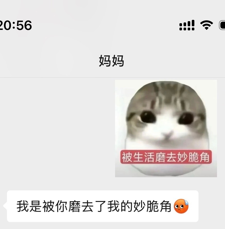 猫猫露出原型了​​​