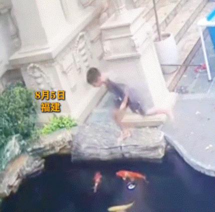 “心都疼了”。福建，一小男孩出门找狗，结果看到狗子已经淹死在了鱼塘，看着狗子飘在