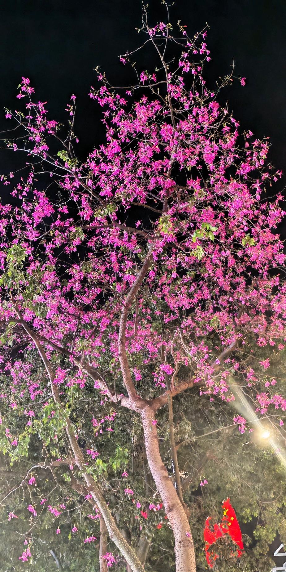 我花一毛钱在拼多多上买了一张流量卡。月租19元192G，不知道靠谱不靠谱。随身