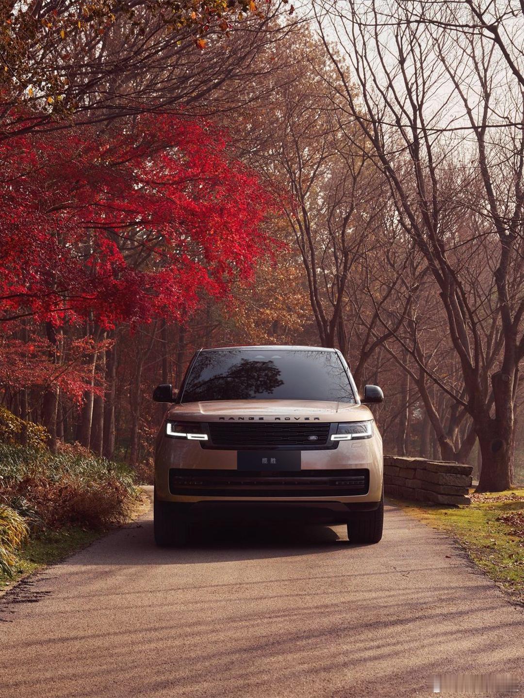 赏秋佳境，光影尊雅。远观近赏，宜打卡出片。秋光限定，观赏期已至，静待光临。揽胜H