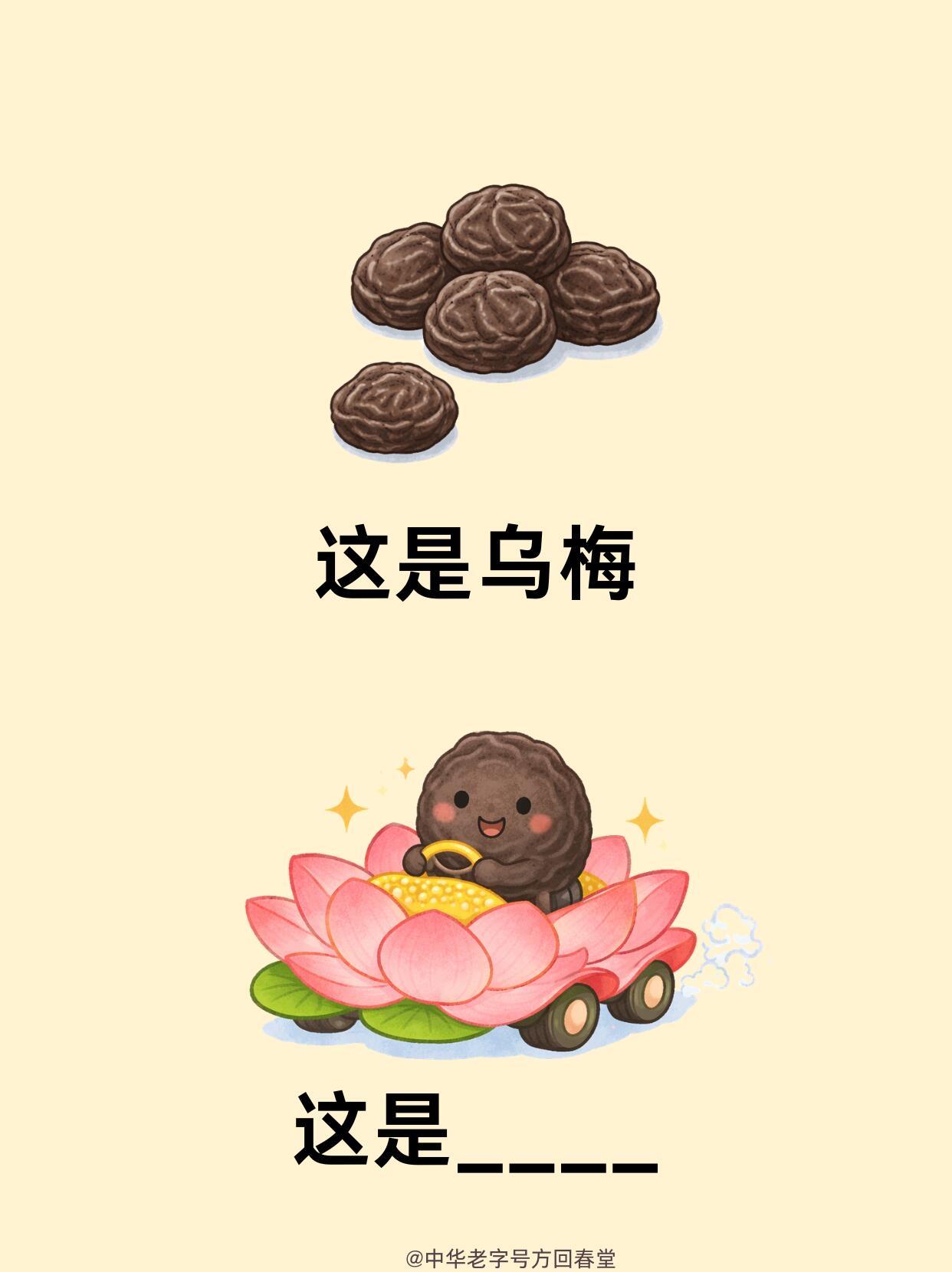 脑洞谐音梗6|最难的放最后一张常见的草药可以玩出这么多谐音梗花样！需