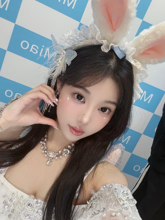 兔子写真 可爱写真