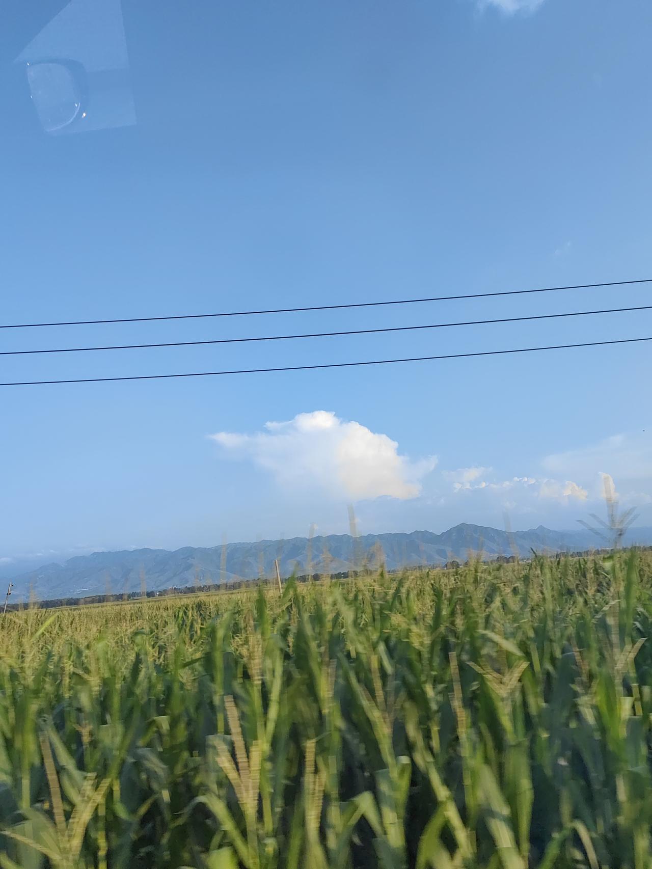 孩子卧室的空调轰隆轰隆响，我跟老公说换一台吧，他说熬一熬就到明年了。我直接让他去