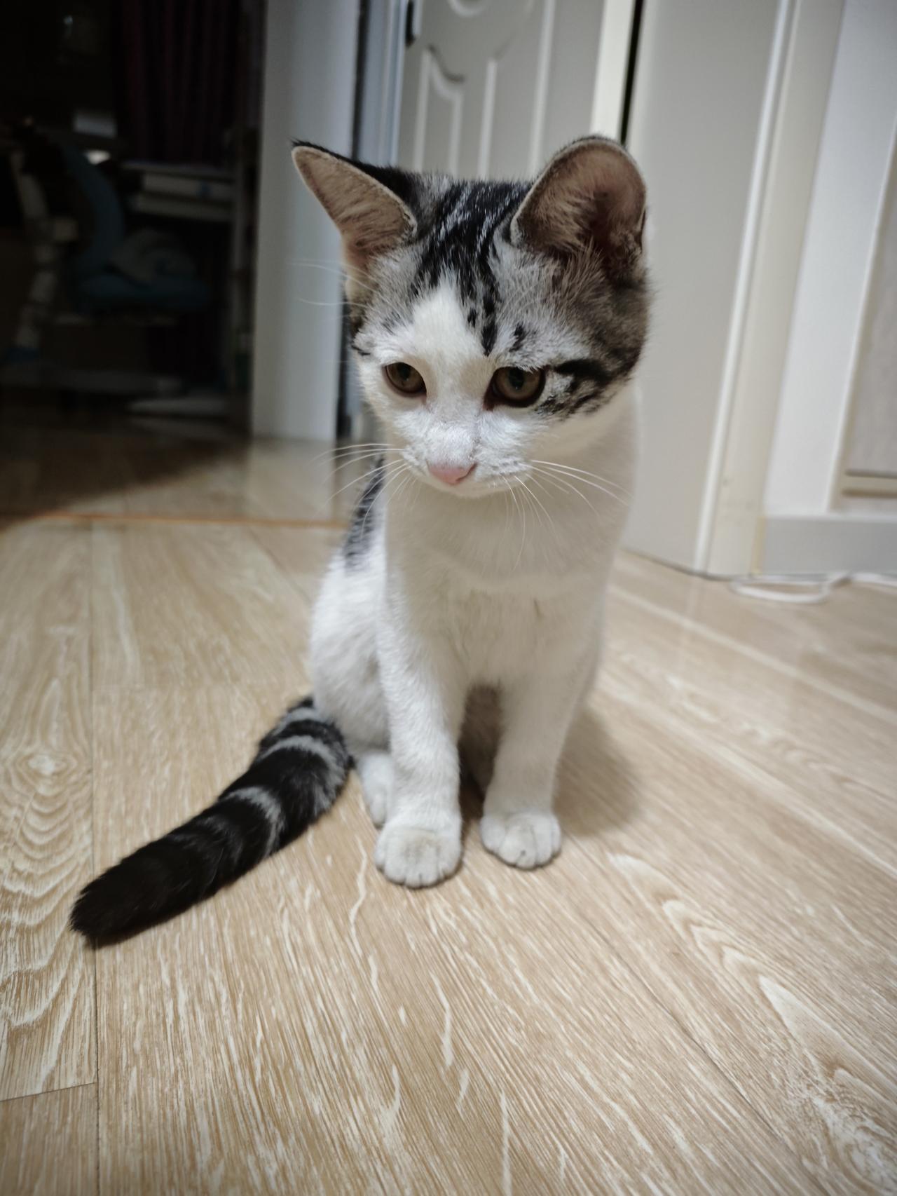 今天的开心竟然是因为班级群里的一个消息，一个让我幸灾乐祸的消息，我都觉得自己有点