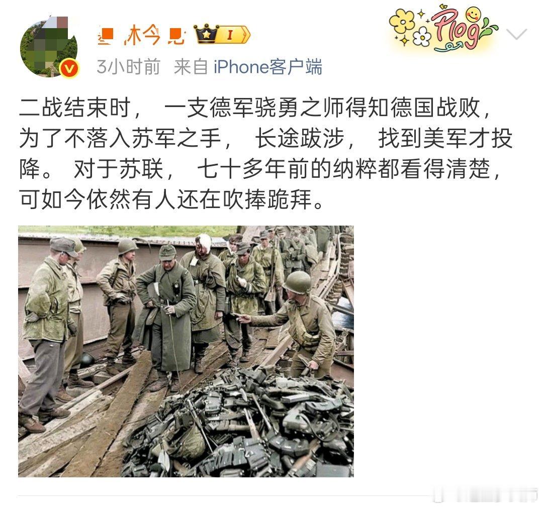 军盲就不要来故作深沉当大V了。德军专门跑去向美军投降，证明苏军有错？什么奇谈怪论