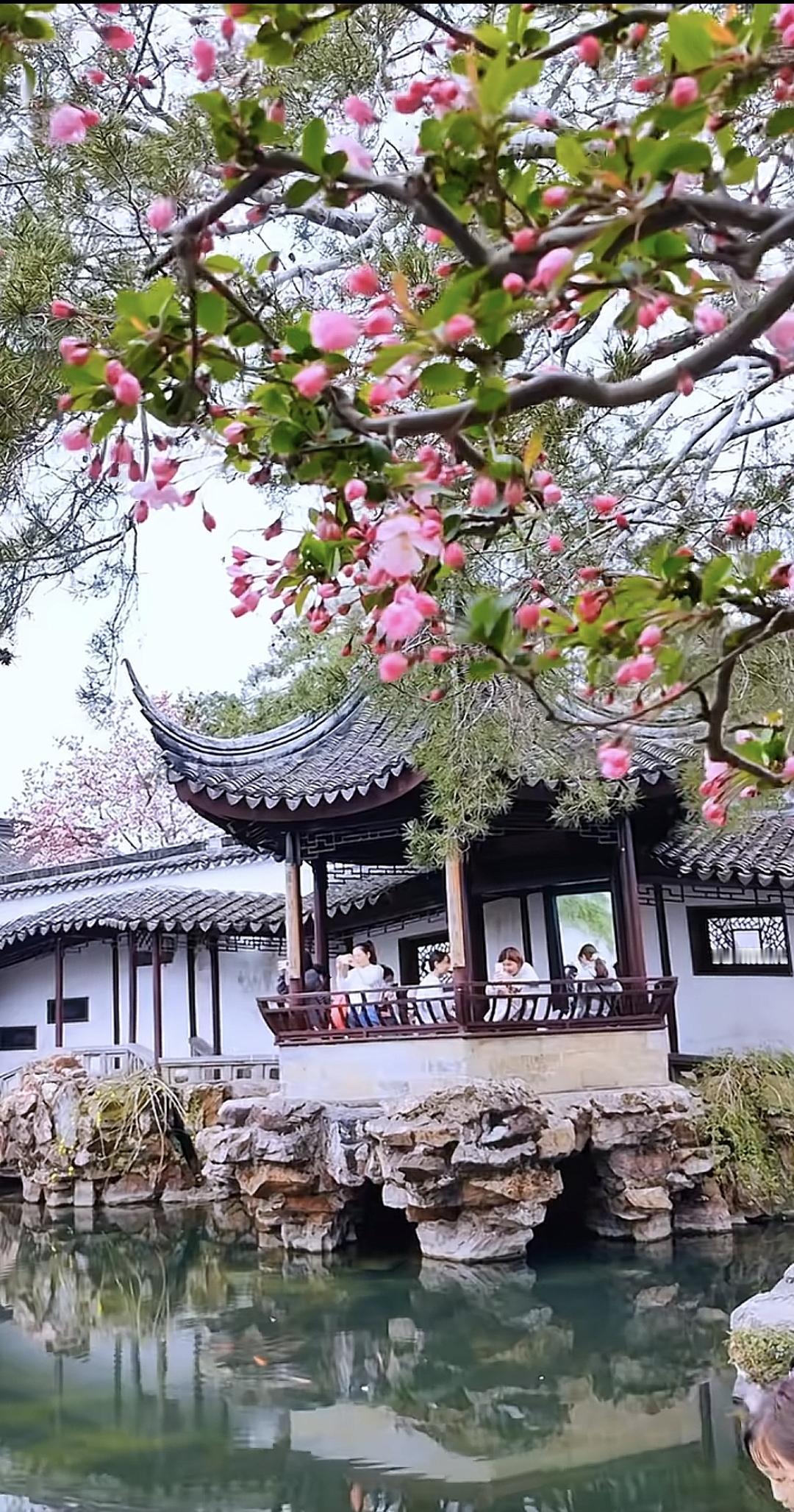 木渎古镇的历史同苏州古城一样悠久，严家花园、虹饮山房、古松园、榜眼府第，无一不具