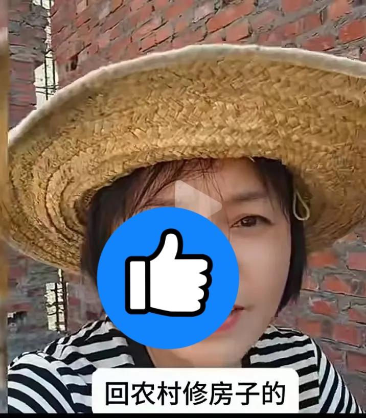 美女48万农村盖房怒怼专家，网友吵翻最近一段视频火了！专家狂踩农村，说回村