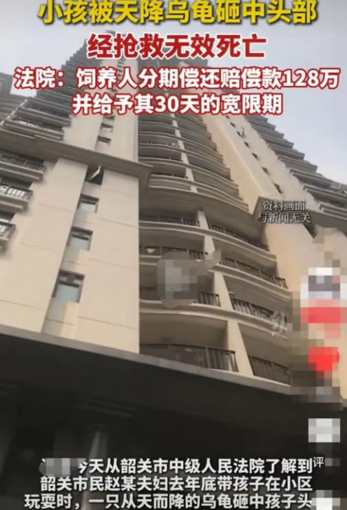 广东韶关，一对夫妇晚饭后，带着孩子在小区里散步。突然一只乌龟从天而降，不偏不倚