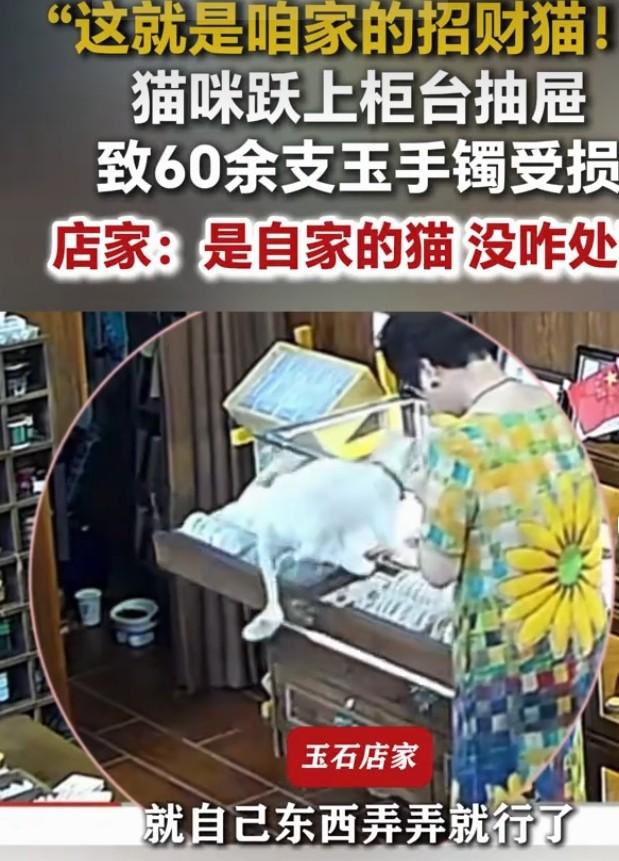7月5日上海一家珠宝店出大事了，一只家猫跃上未关闭的柜台抽屉，60多支玉镯滚落碎