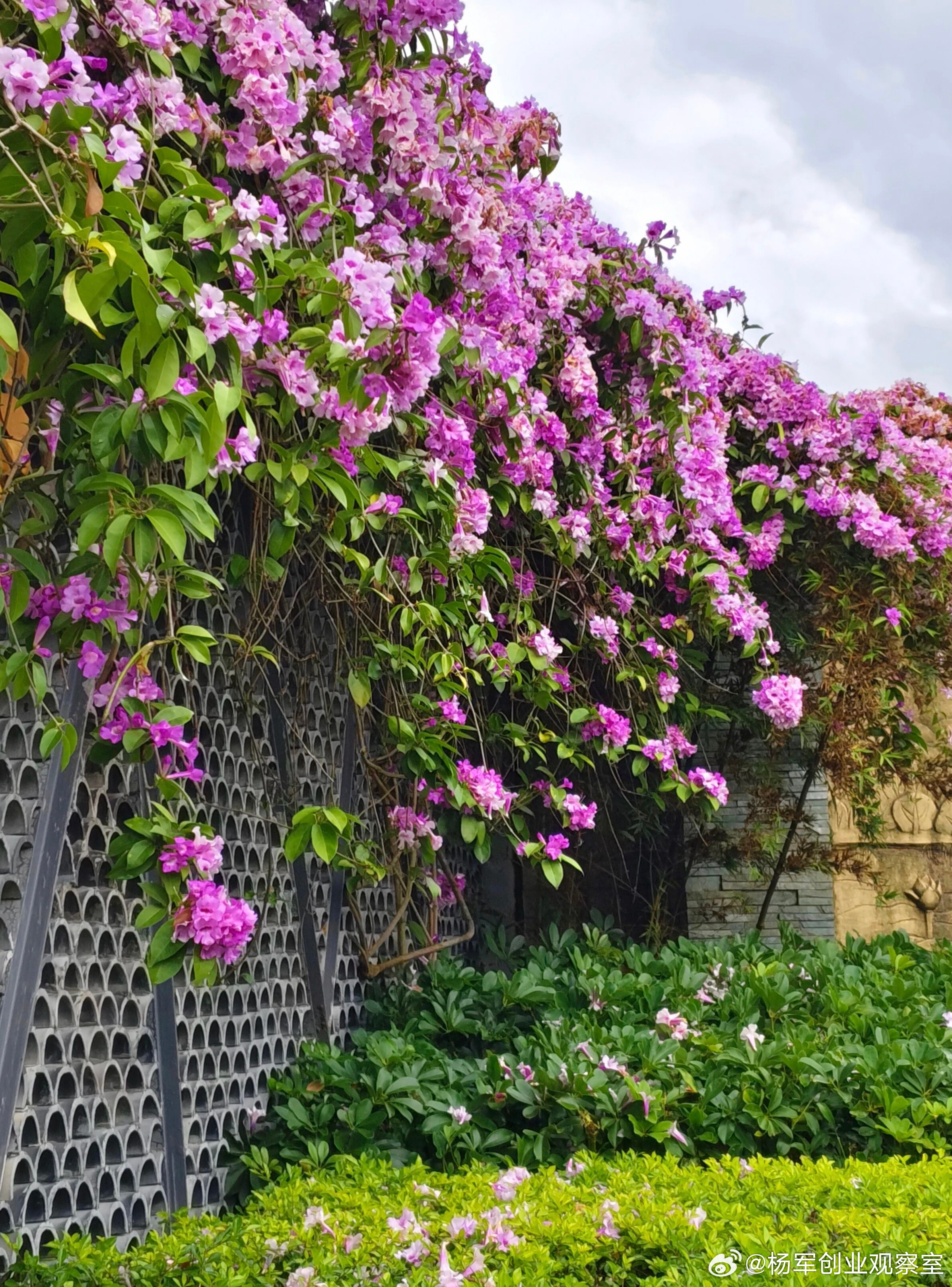 选错合伙人，是创业最大的成本。许多股权纠纷、团队内耗，根源往往不是方案，而是“