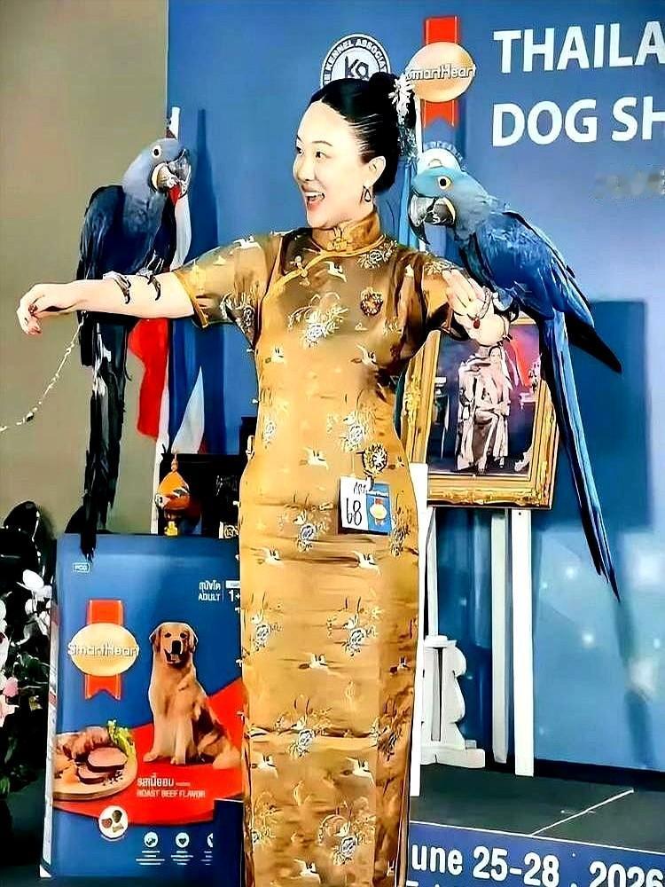 霍思燕这身旗袍褶子，要搁普通人身上早尴尬了，她却穿着在米兰领奖台被老外狂拍。