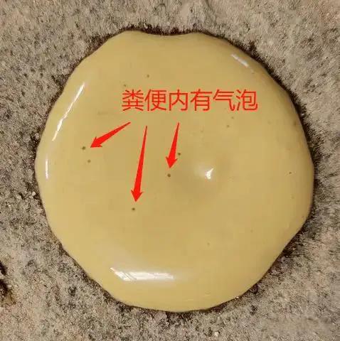 仔猪球虫性腹泻怎么治疗?药物治疗•抗球虫药：可选用磺胺类药物，如磺胺六甲