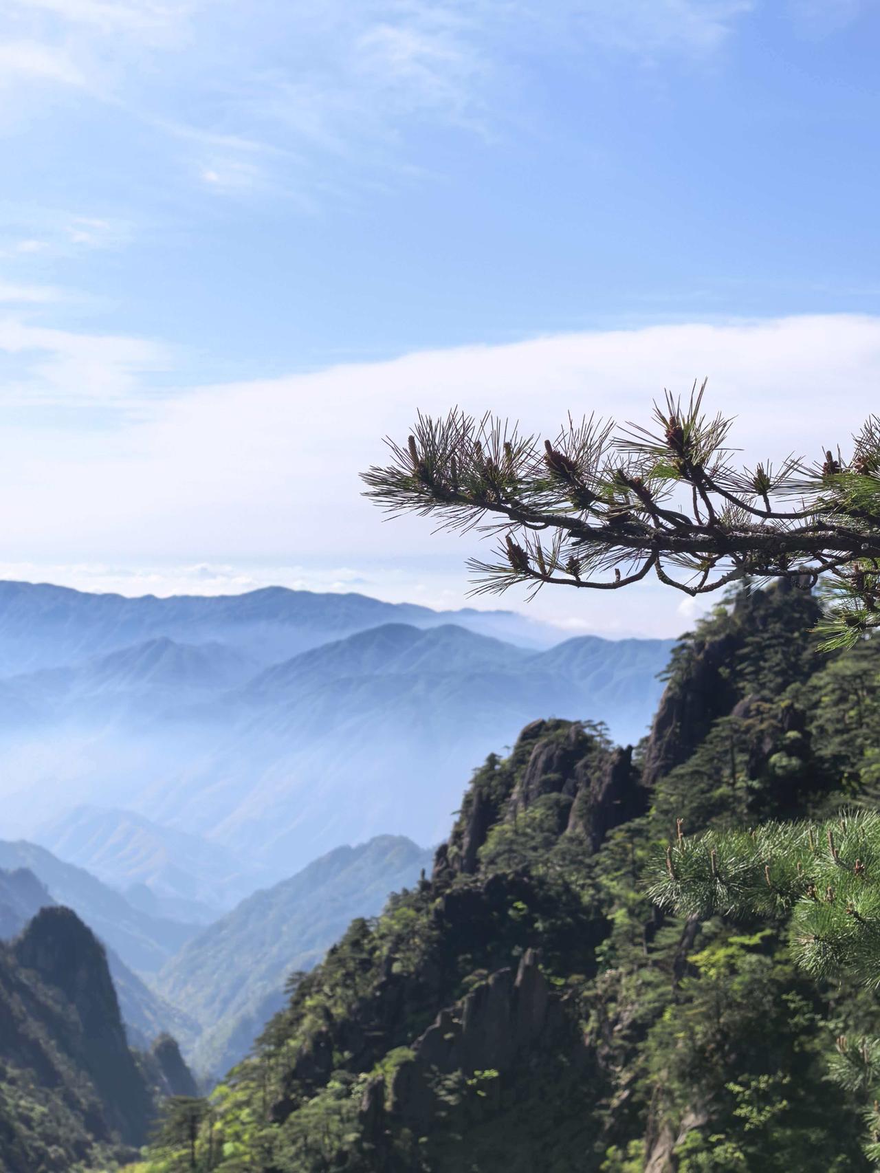 初入安徽，独游黄山清晨七点，用过酒店早餐，我便独自前往黄山南门换