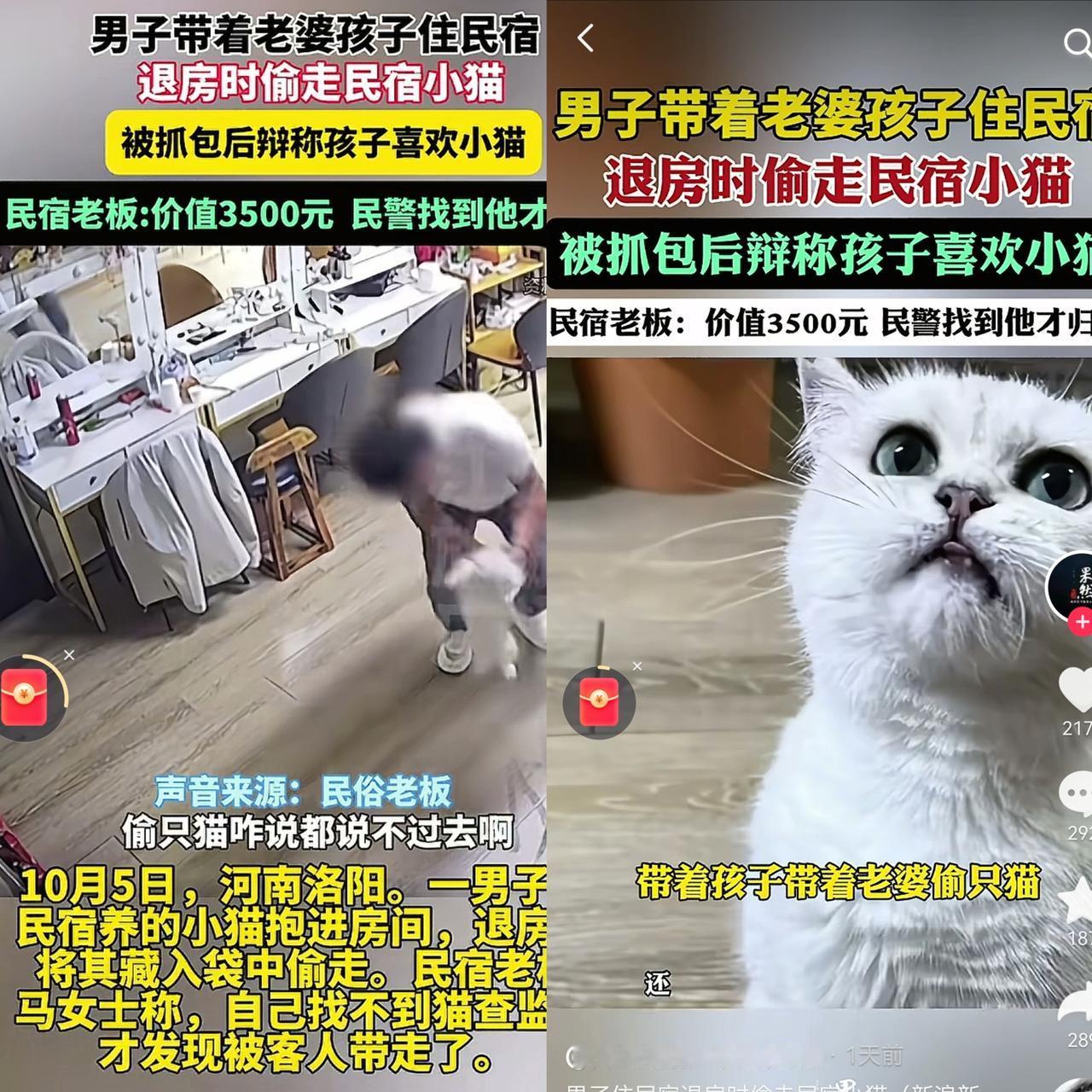 看了民宿老板发的监控视频，真是气到手抖。一家三口住了两天，退房前，把民宿养