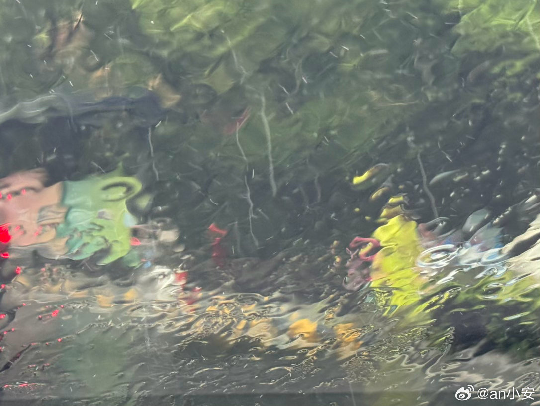 台风天～大风大雨的周一，苏州人民一上一个不吱声，一路上都是克服恶劣天气努力去工作