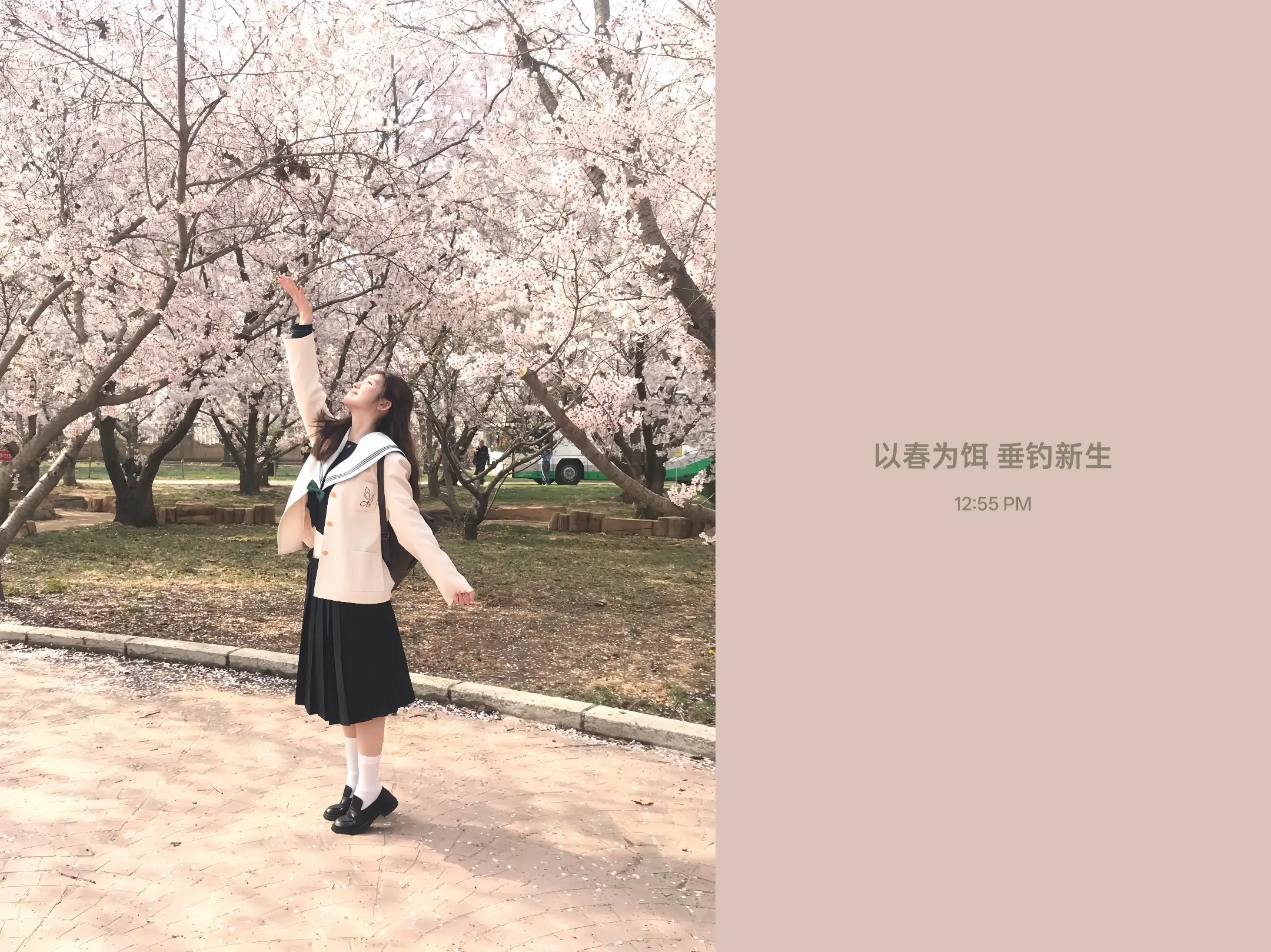 平淡生活的几张彩纸🎊。