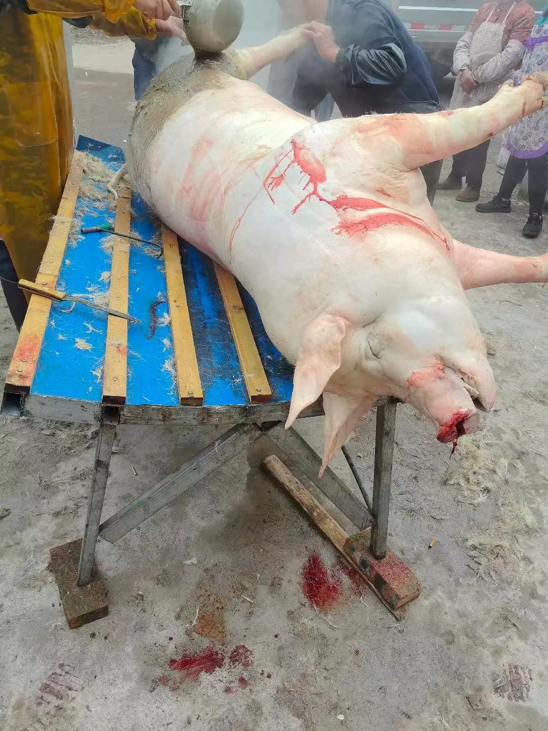 啥也不说了！有图有真相[捂脸哭]在四川现在大家都在做同一件事，备年货。四川人过年