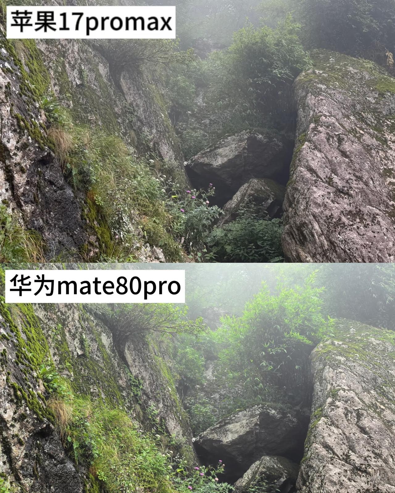 📱iPhone17promax📱华为mate80pro放大看，花草边缘
