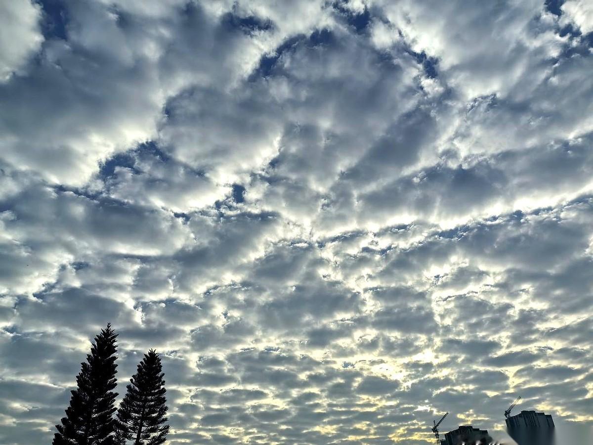 刚把厚衣服塞回衣柜，以为春天终于能好好当个人了。结果，呵呵。一个回马枪。说