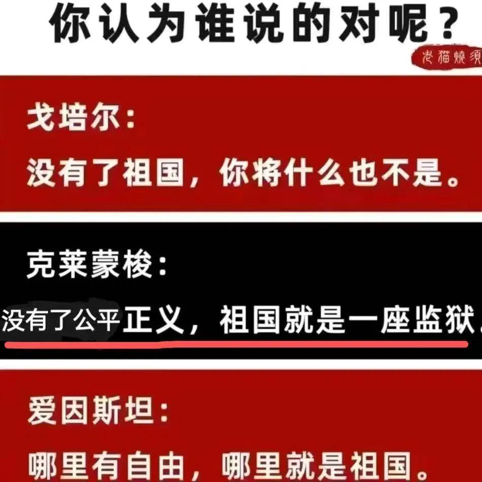 网友会给出答案？