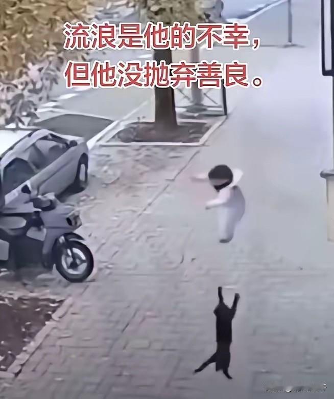 万物皆有灵！浙江杭州，一名三岁宝宝在阳台玩耍，结果大人一个疏忽，孩子突然从阳台掉