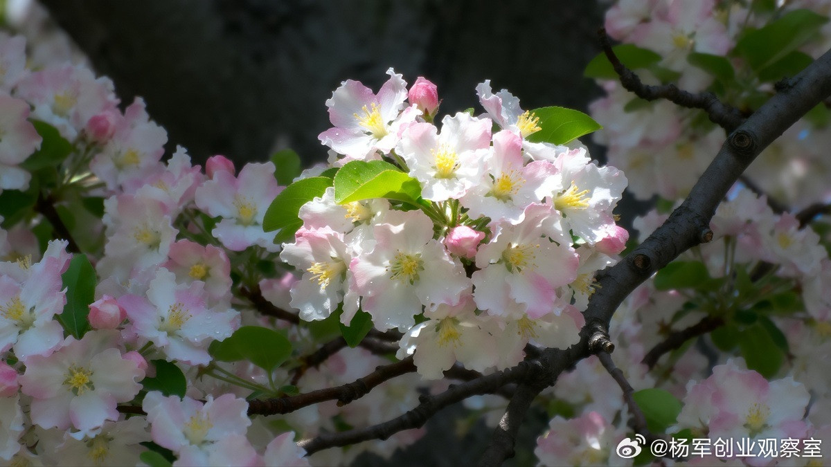 告别拍脑袋，三步把你的“决策直觉”AI化许多老板最强的能力，是说不清的“直觉判断