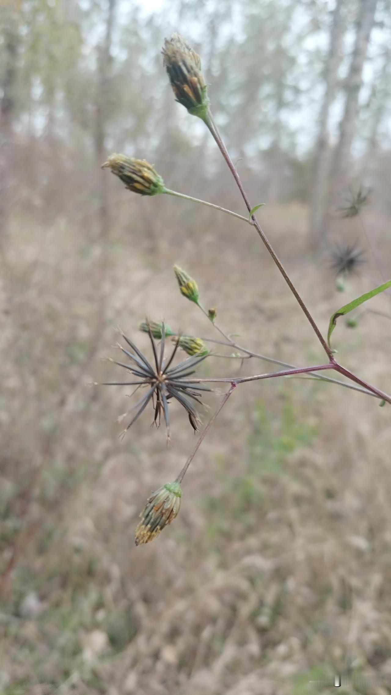 我不知道该说00后的孩子是通透还是自私。老大零四年的猴，今年大学毕业了。没找