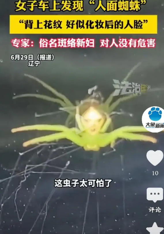 女子在车上发现“蜘蛛精”，长着一张妇人脸，太可怕了！一个女子在她的汽车里，蓦然