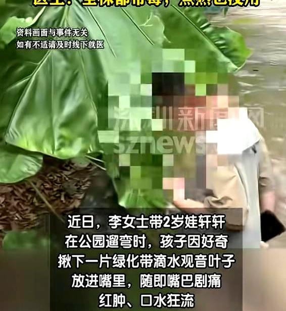 公园里那片“绿油油”，看着挺好看，真不一定能随便碰。深圳就出了这么一件事，妈妈