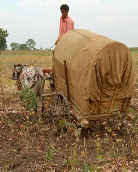 印度总理发出最后“通牒”，如果印度没有办法在短期内得到足够的化肥保障，那么十几