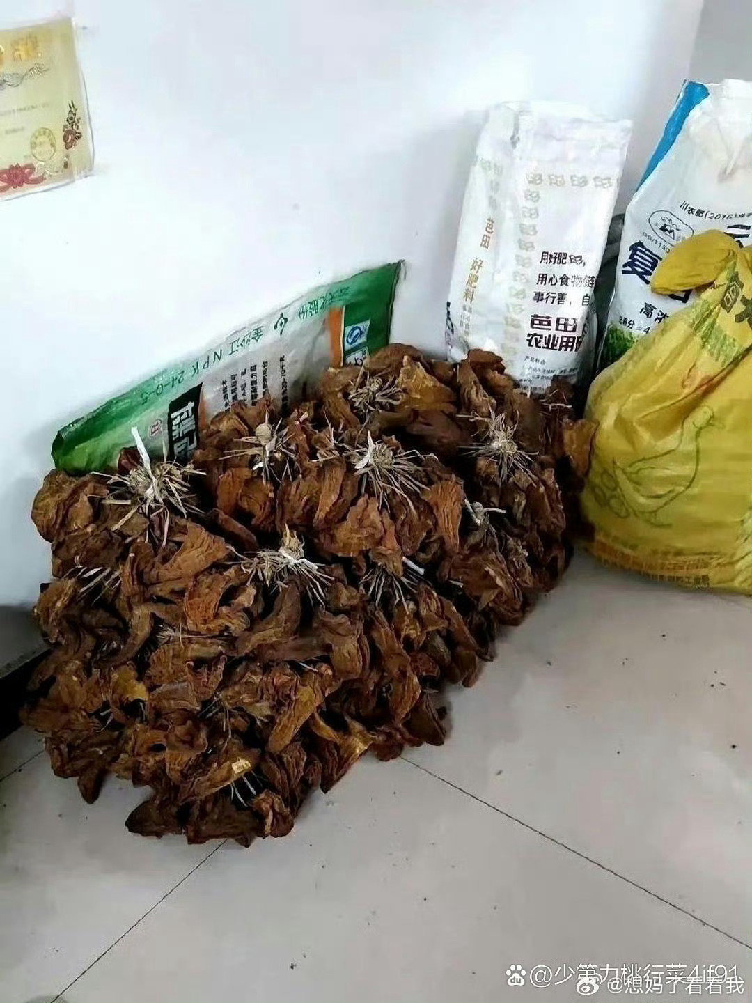 这才是真正的大户人家，太让人羡慕了​​​