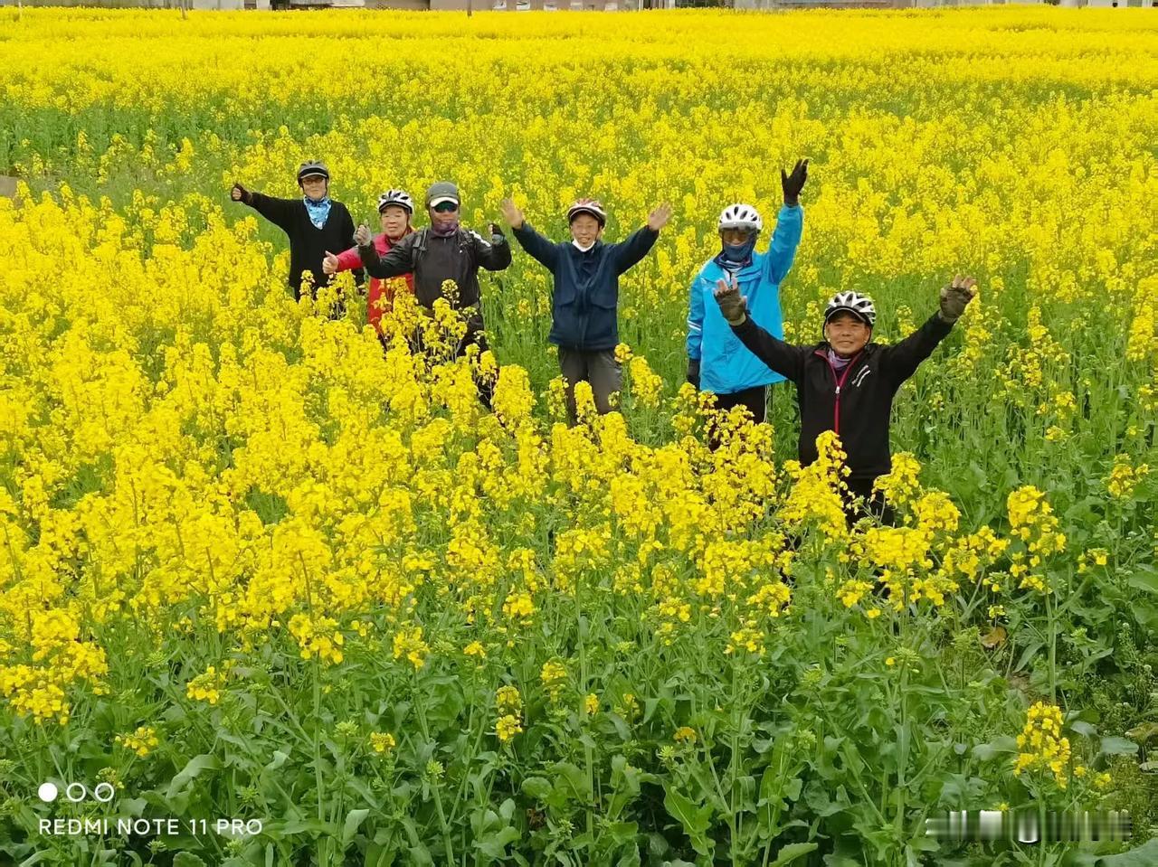 退休后家庭里的变化。退休后，大多数时候家里呆着，有意无意之间就干