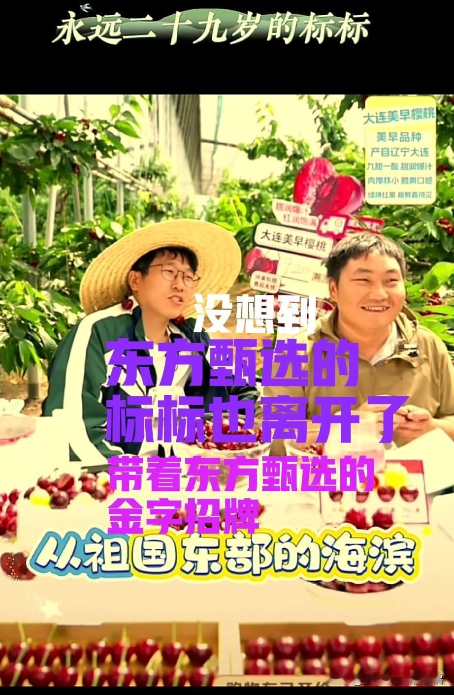 没想到带着东方甄选金字招牌的优秀的产品经理憨憨的标标也要开启生鲜之路，自主创业当