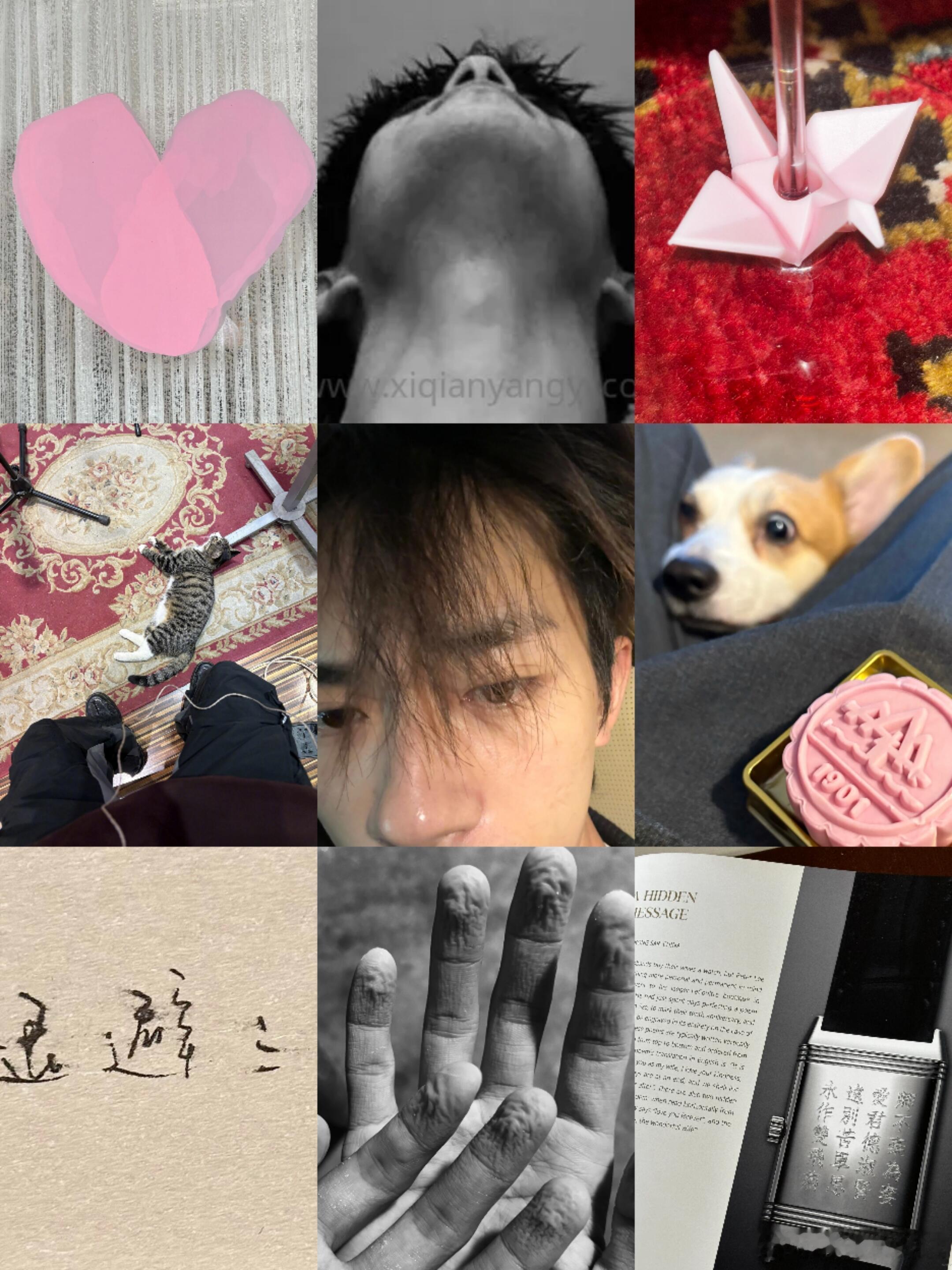 易烊千玺镜头里的烟火气真的太有代入感了，每一张都透着生活最本真的样子，看着就让人