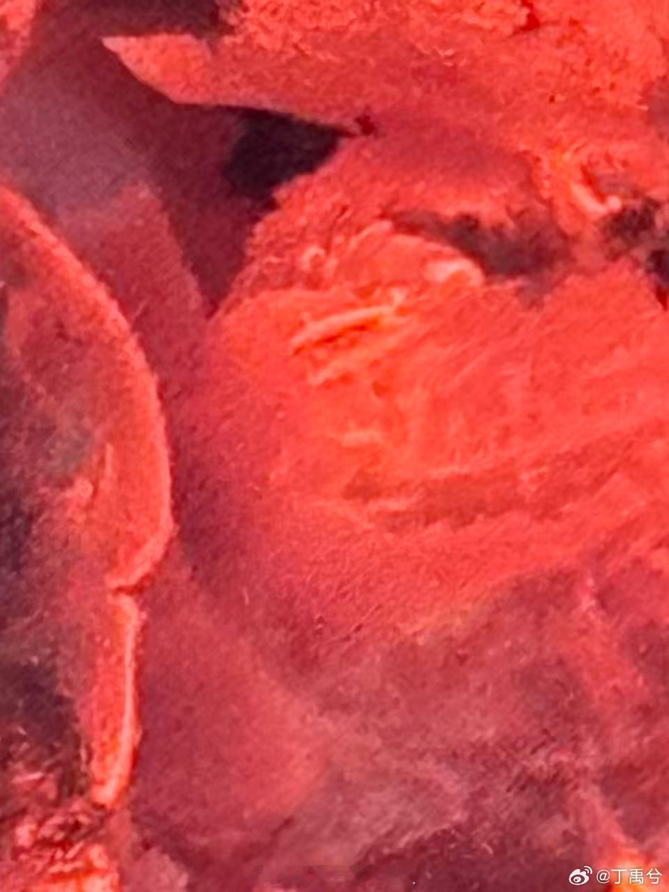 今天的丁禹兮是西瓜味的🥰