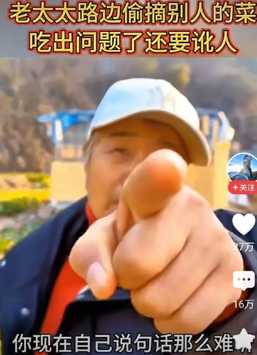 果然又是坏人变老了近日，一菜农某音曝料，自己种的菜被一老人偷摘，回去炒给家人吃