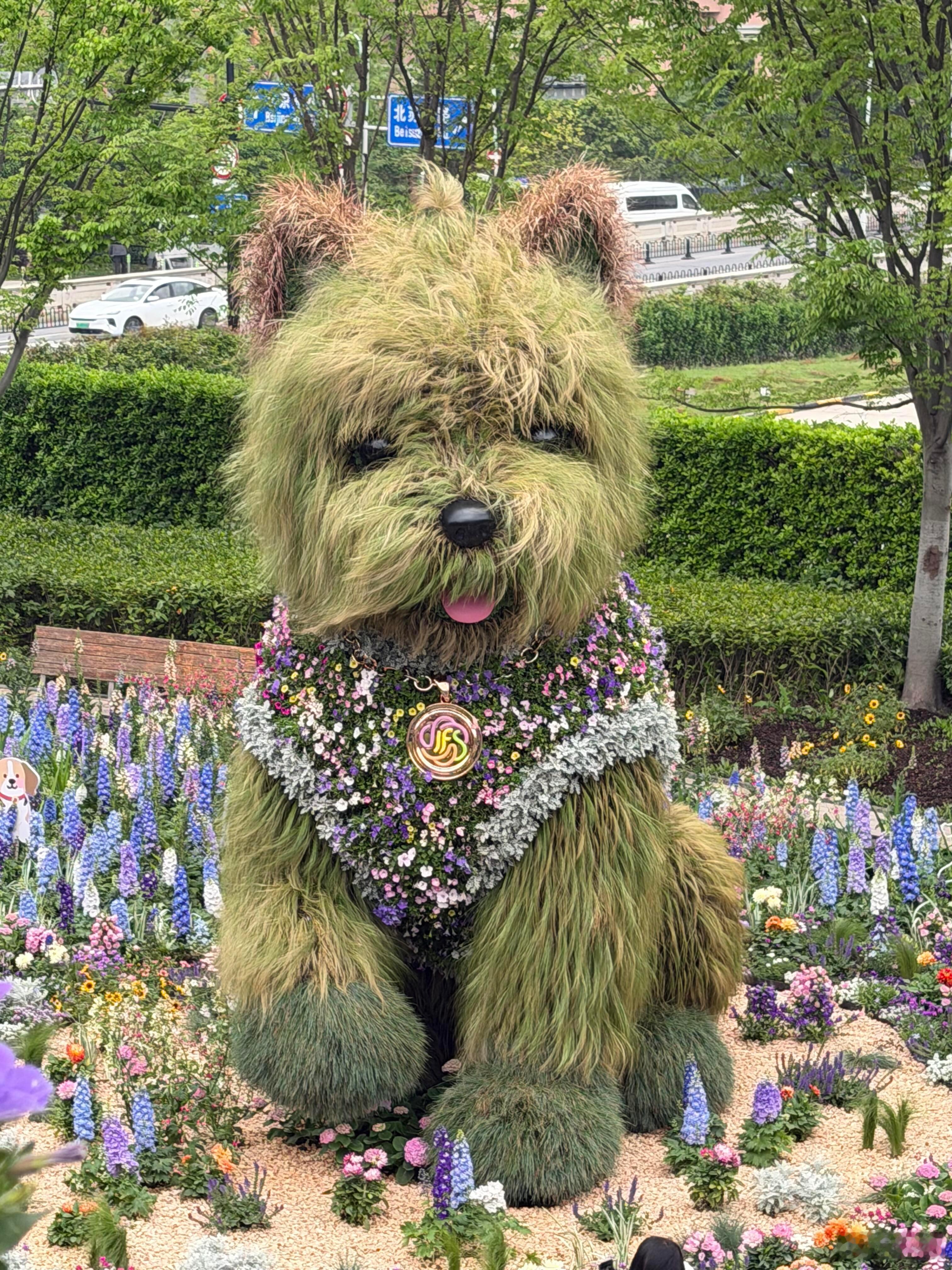 上海花卉节制作的狗狗！