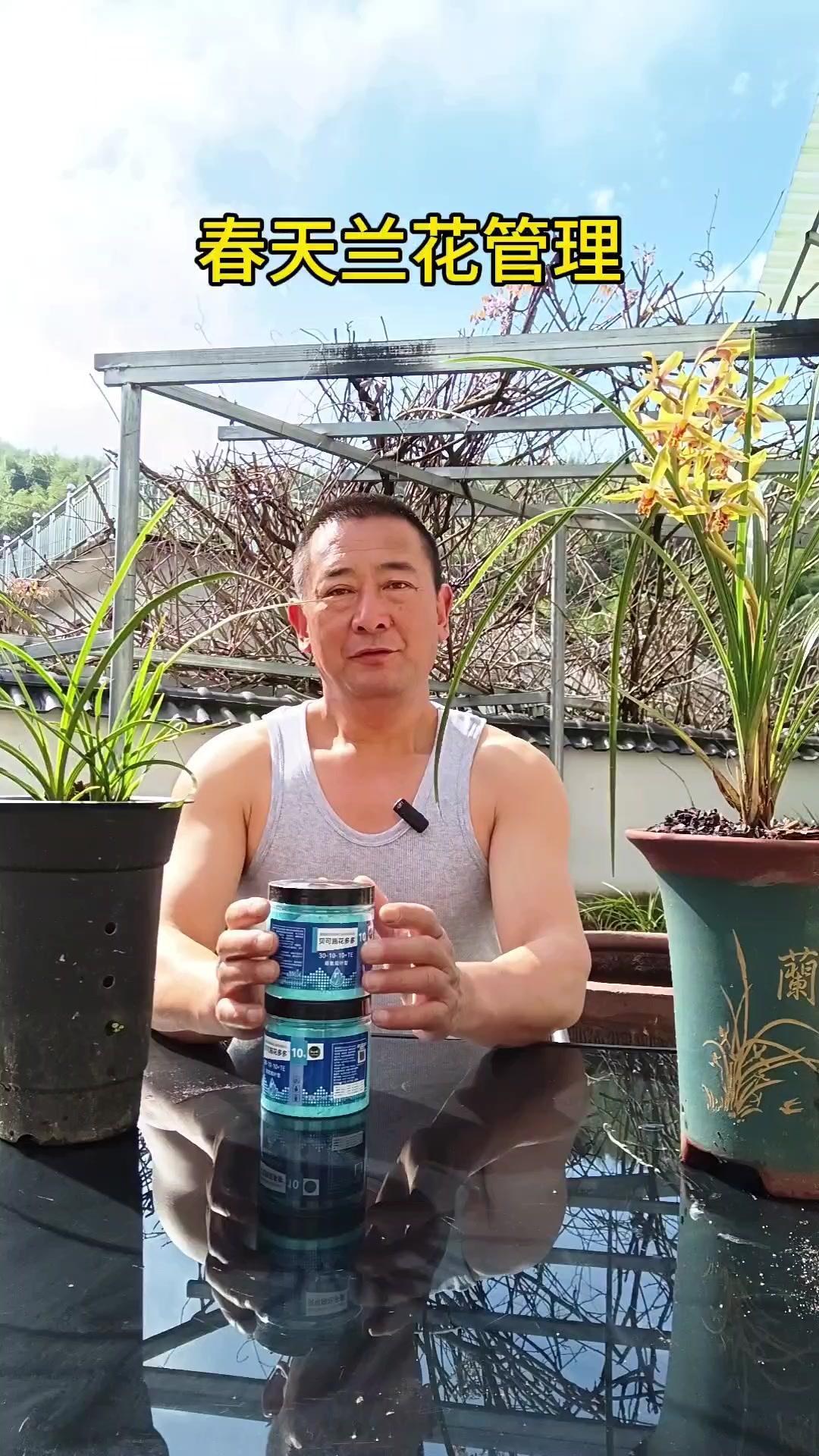 🍃春天养兰花，施肥是关键！很多兰友都会疑惑要不要施肥，其实肯定要！施肥至少有三