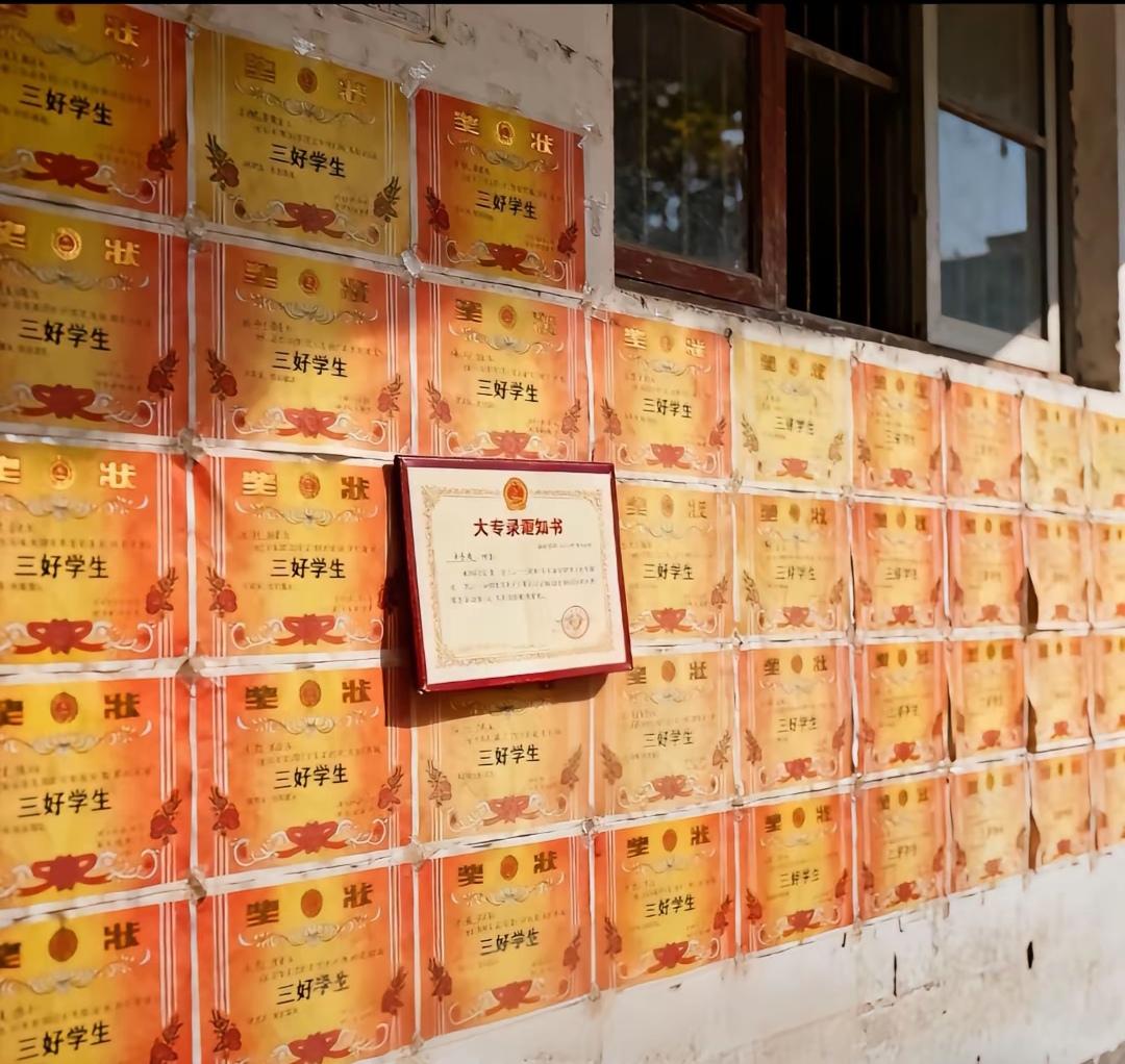 这是网络新梗，南通一直是学霸，最终却考了个大专。满屋子三好学生奖状，高考失败