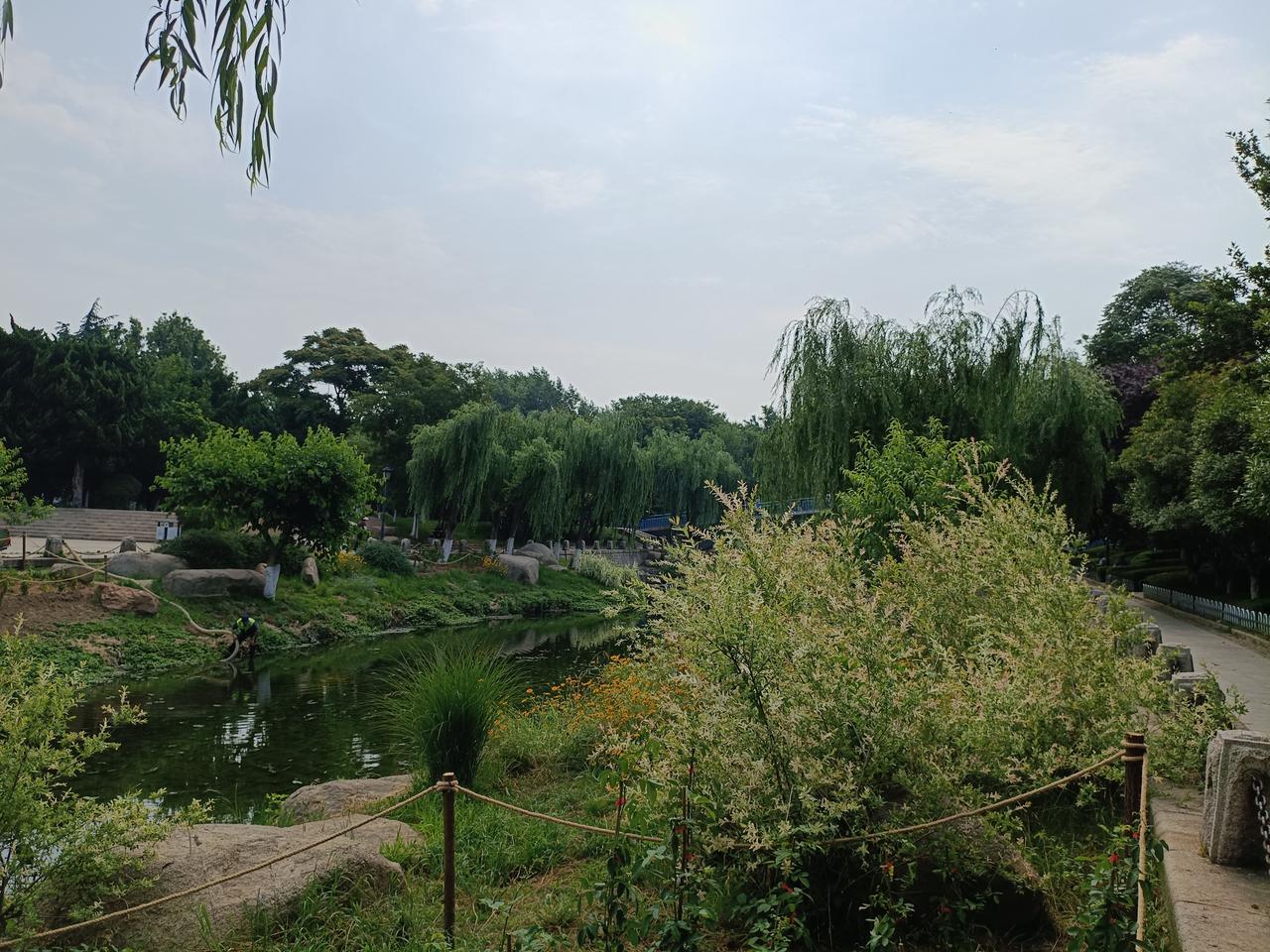 父亲出去吃饭还有AA制，太不合适了！这样的婚不结也罢。夫妻就应该是你中有我我中