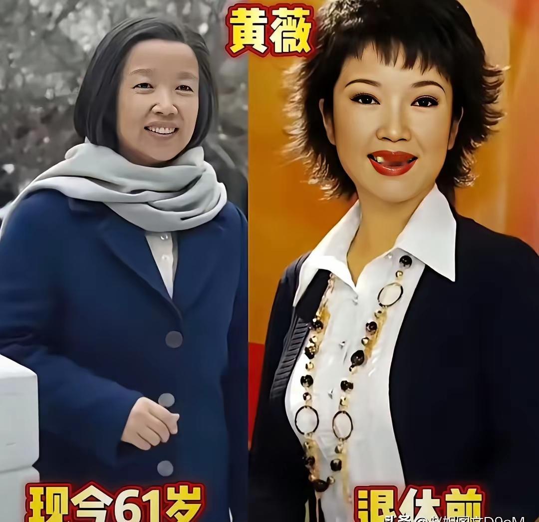 央视名嘴张宏民、李瑞英退休后竟在公园遛弯买菜？这反差太强烈了。昔日荧屏上字正