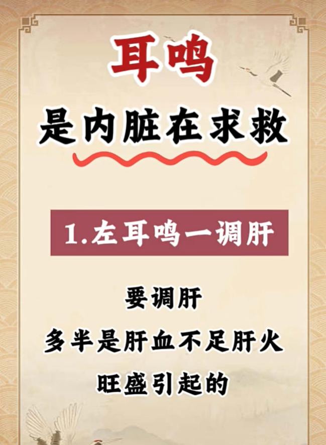 不少人长期受耳鸣困扰，耳朵里面持续出现异响，影响睡眠与日常情绪。在中医理论中，耳